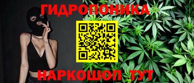 jwh Гудермес